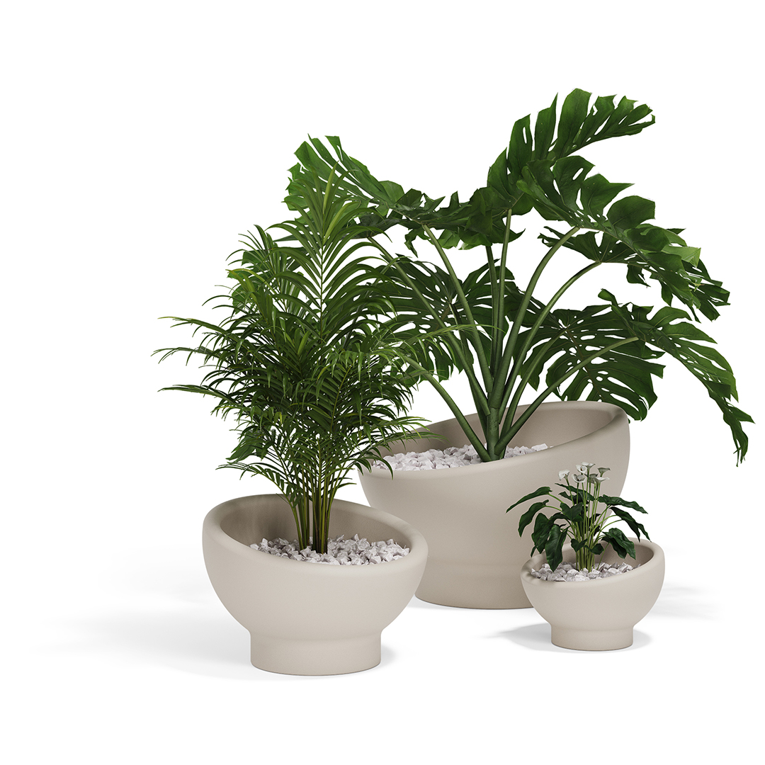 LUNA PLANTERS
