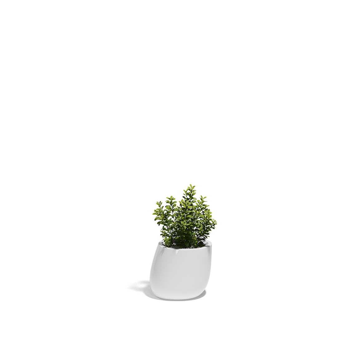 16 Vondom Stone Planter Stefano Giovannoni 55030F White Lacquered 