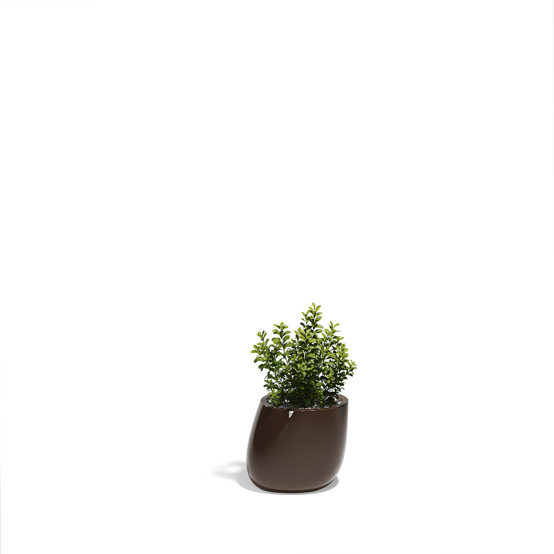 23 Vondom Stone Planter Stefano Giovannoni 55030F Brown Lacquered 