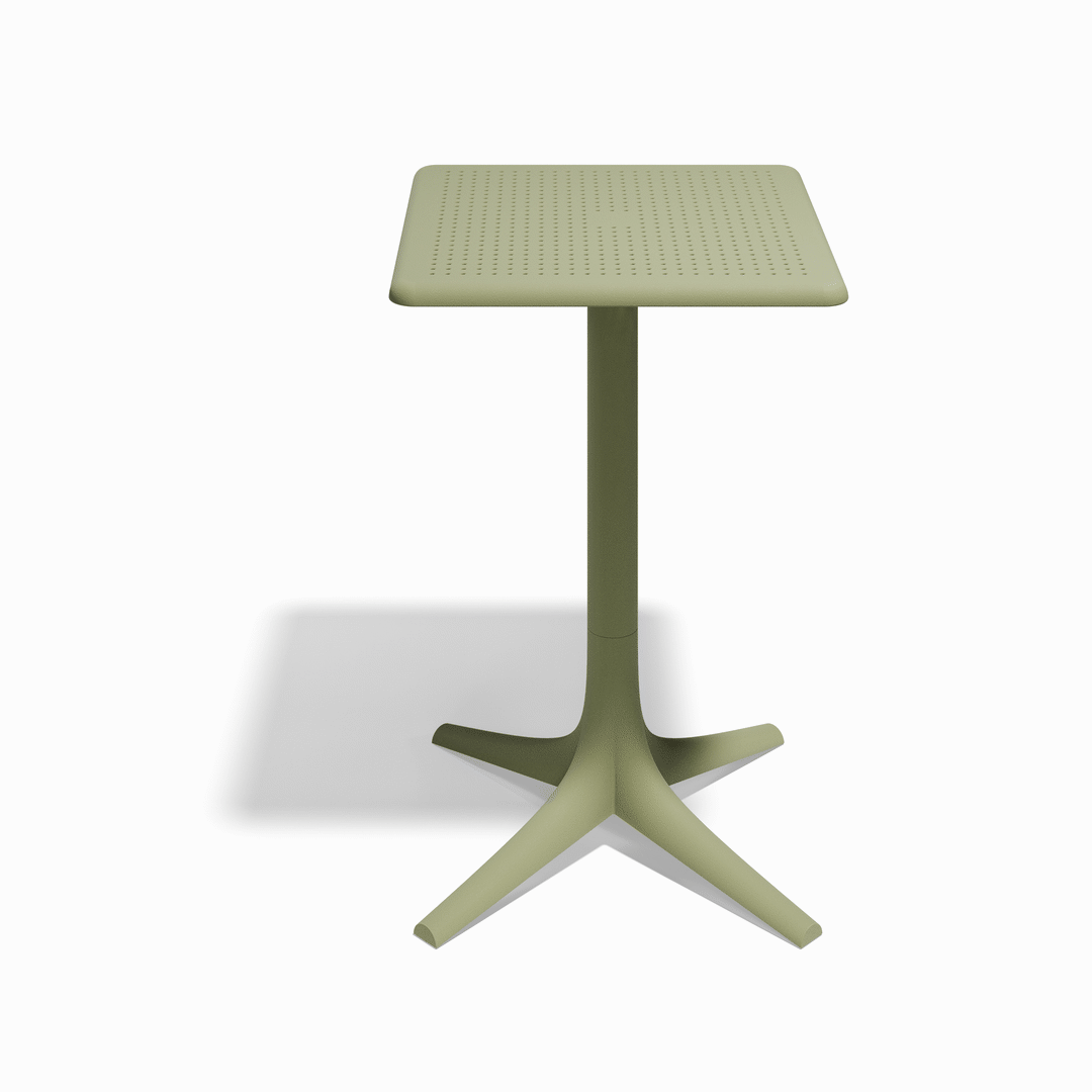 PALM MESA 50x50