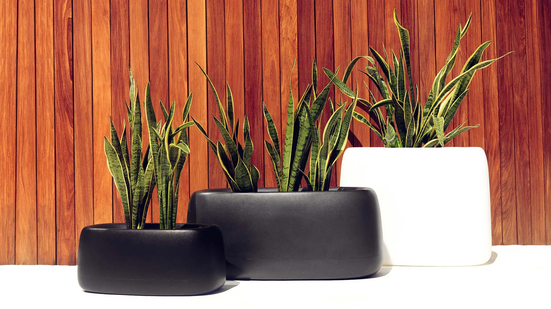 Planters by Studio Vondom