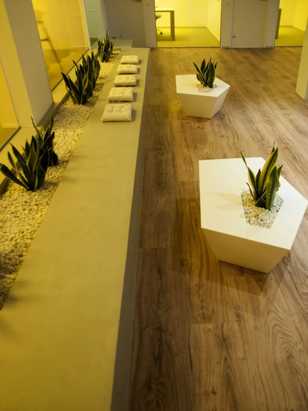 Office decoration furniture Faz planters by Vondom