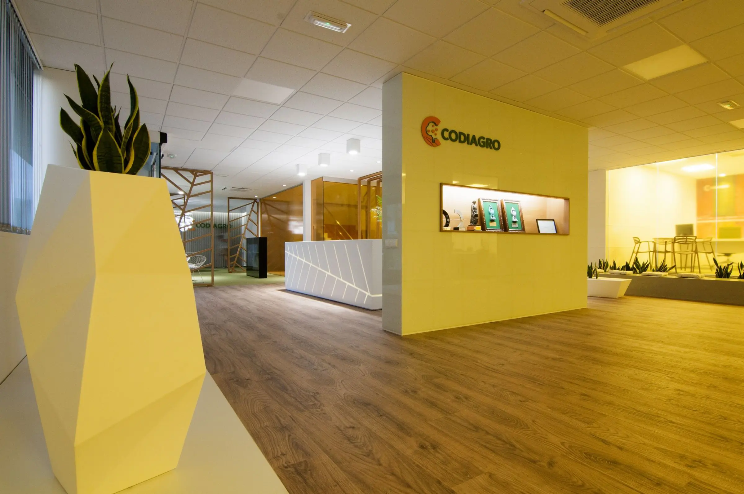 Office decoration furniture Faz planters by Vondom