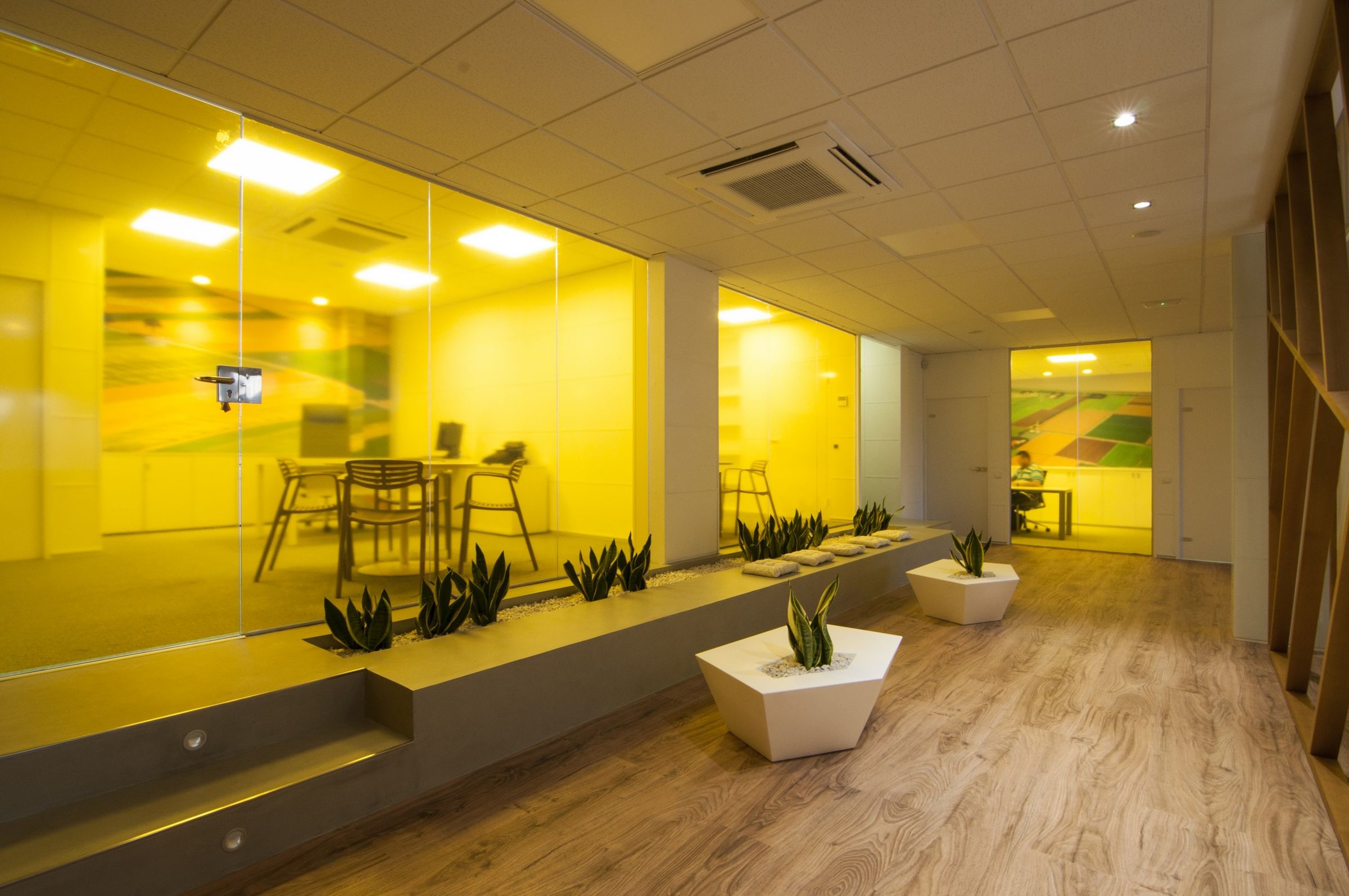 Codiagro Offices