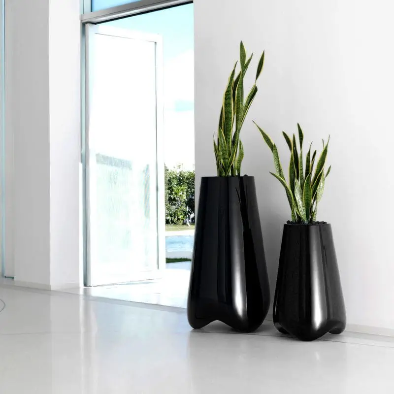 Pal Collection by Karim Rashid
