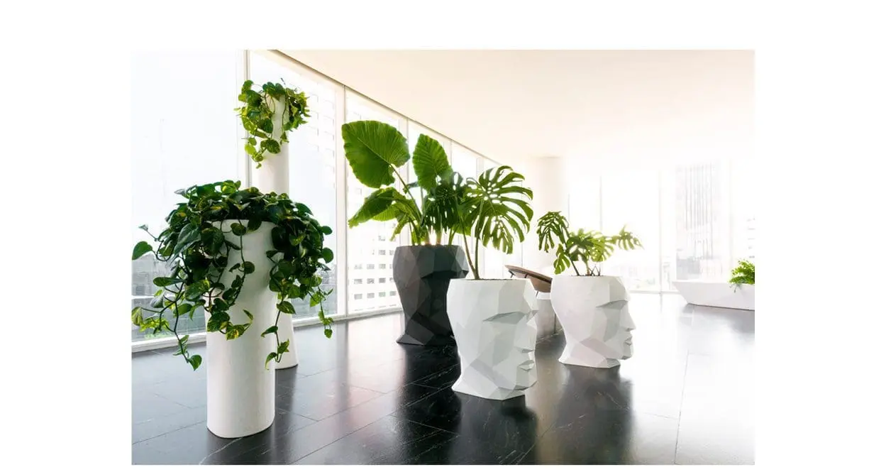 Office furniture Bones and Adan planters by Vondom