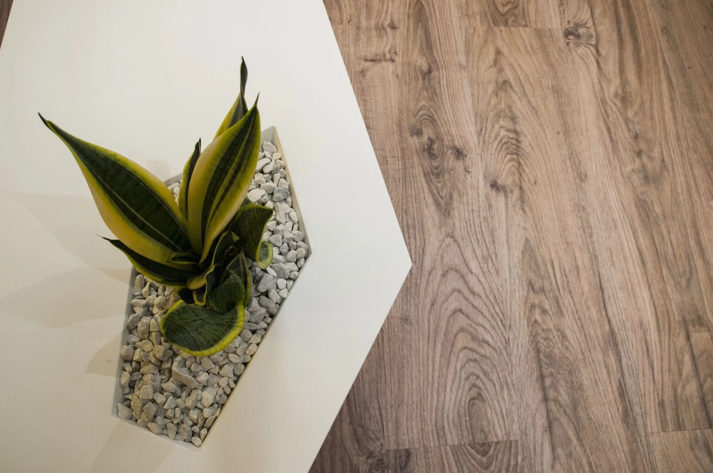 Office decoration furniture Faz planters by Vondom