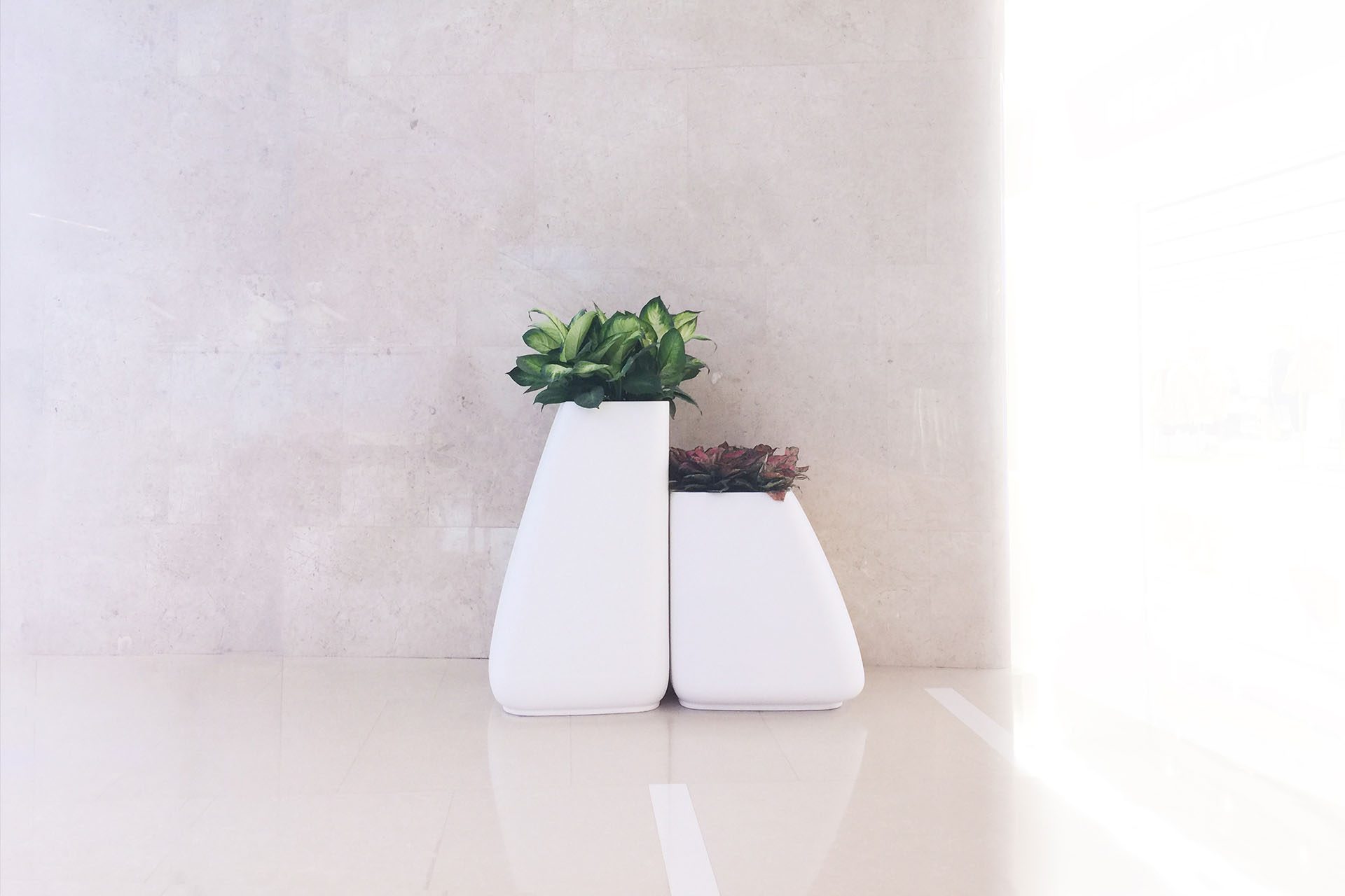 Noma planters by Javier Mariscal Vondom